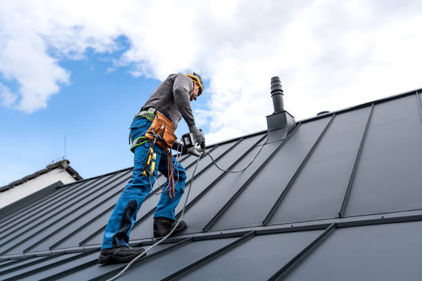 Best Gutter Installation and Repair  in Christopher, IL